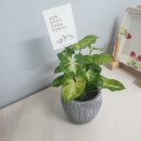 연탄구이식객 이미지