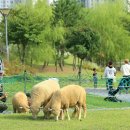 안내목장2 이미지