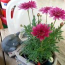 기차네즉석떡볶이 이미지