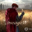 W-12 이미지