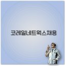 캐치비전 | 2025 코레일네트웍스 채용 공고 시험 가산점 후기 완벽 정보