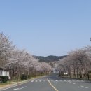 선리치골프클럽 이미지