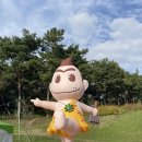 지동길 | 2024 전남 화순 국화축제 아기랑 방문 후기(24.10.31.)