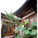 힐링정원 이미지