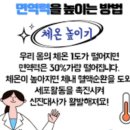 시뉴시스템