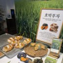 파운드 그레도 | [공릉][파운드그레도] 분위기 좋고 빵이 맛있는 공릉 대형카페 파운드 그레도 후기
