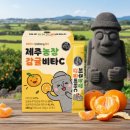 [제주농장 #04] 마의 오후 4시를 깨우는 상큼 충전! 제주농장 감귤비타C 스틱 젤리 🍊✨