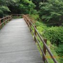 솔바람교 옹달샘 티스토리