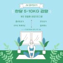 [정왕플라잉&amp;필라테스]플라잉요가 후기🧘🏻‍♀️