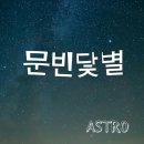 오십오 Daum카페