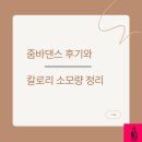 줌바댄스 | 줌바댄스 후기와 칼로리 소모량 정리
