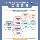 여전히제주 이미지