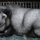 대형농장 이미지