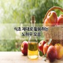 ▒▶…식초 제대로 활용하는 노하우 모음 이미지