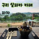 카페알파카 | [구리 카페 추천] 알파카가 있는 이색 카페 파차 후기