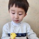 준보네수산