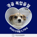 언제나동물병원