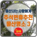 수연공인중개사사무소 이미지