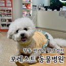 동물진료법인 포레스트 네이버블로그