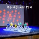 태권도담 | 무주 태권도원 태권스테이 1일차(예약방법, 숙박,식사, 공연, 태권도체험, 태권도박물관)
