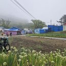 타포니민박 이미지