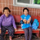 세진베이커리 이미지