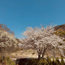 스테이더담 경주산내점 이미지