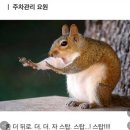 난생처음 솥뚜껑 제육볶음 먹어본 독일여자-유투버 반응(밥까지 비벼서 한공기 뚝딱 했어요ㅎ) 이미지