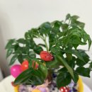 서울용답초등학교 이미지