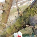 영복농장 이미지