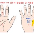 A0829 이미지