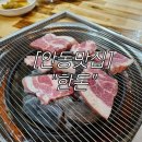 경상북도 안동시 옥동행정복지센터 | [안동맛집] 안동 삼겹살의 근본 &#34;한돈&#34;