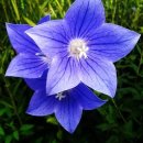 언덕위에 이미지