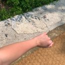 새롬목장 이미지