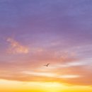 2025 해돋이 행사 이미지