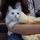 혜인종합 동물병원 이미지