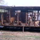 경인농장 이미지