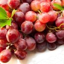 와이비 메디컬 이미지