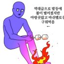 프로그램뱅크(주) | [공지] 신혼부부 가계부 1월 결산 (백수생활start|1000만원저축|쇼파구매|가다실접종)