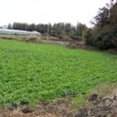 남원읍-32 이미지