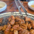갈비본질 | 장기동 돼지갈비 한돈 인증 갈비본질 프리미엄 만족한 후기