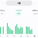 이디야대전월평 이미지