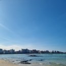 겨울제주여행, 종달리 모뉴에트, 세화해변 산책, 세화독립서점 시타북빠, 함덕해수욕장/가족여행 후기