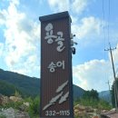 평창 운교리 밤나무 | 평창 오토 캠핑장 용골송어와캠핑에서 2박 3일 강원도 여행
