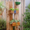 미니정원 이미지