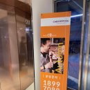 도미니클라바 이미지