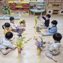 꽃동산유치원 | 관악구 보라매동 당곡1어린이집 4월 봄놀이 봄활동 반별 놀이사진
