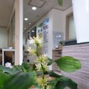 한중부부한의원 네이버블로그