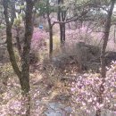 양화마을 이미지