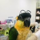 가든조류원 이미지